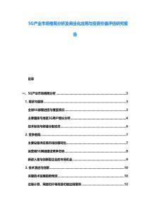 5G產業市場格局分析及商業化應用與投資價值評估研究報告