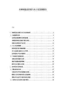 非洲制造業回流與本土化發展報告