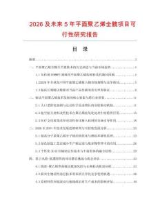 2026及未來5年平面聚乙烯全髖項(xiàng)目可行性研究報(bào)告