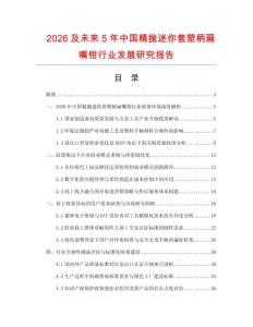 2026及未來5年中國精拋迷你套塑柄扁嘴鉗行業發展研究報告