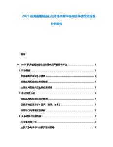2025航海船舶制造行業(yè)市場供需平衡現(xiàn)狀評估投資規(guī)劃分析報告