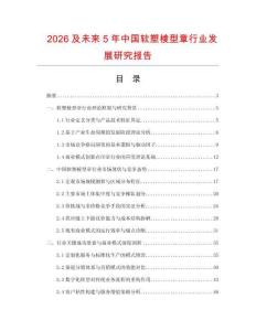2026及未來5年中國軟塑棱型章行業發展研究報告