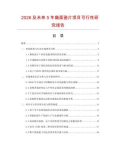 2026及未來5年釉面瓷片項目可行性研究報告