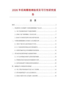 2026年機制精梳棉胎項目可行性研究報告