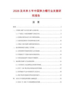 2026及未來5年中國彈力帽行業發展研究報告