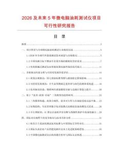 2026及未來5年微電腦油耗測試儀項目可行性研究報告