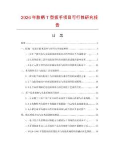 2026年膠柄T型扳手項(xiàng)目可行性研究報(bào)告