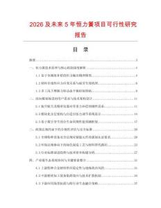 2026及未來5年恒力簧項目可行性研究報告