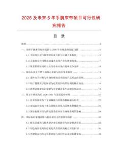 2026及未來5年手腕束帶項目可行性研究報告