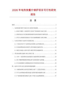 2026年電熱快餐什錦爐項(xiàng)目可行性研究報(bào)告