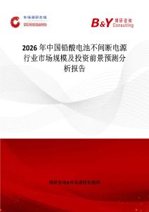 2026年中國鉛酸電池不間斷電源行業市場規模及投資前景預測分析報告