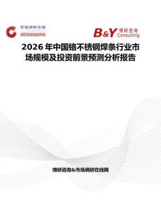 2026年中國鉻不銹鋼焊條行業市場規模及投資前景預測分析報告