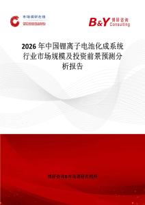 2026年中國鋰離子電池化成系統行業市場規模及投資前景預測分析報告