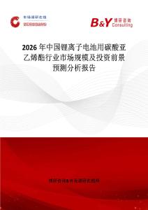 2026年中國鋰離子電池用碳酸亞乙烯酯行業市場規模及投資前景預測分析報告