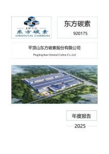 東方碳素：2025年年度報告