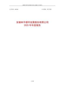 林平發展：2025年年度報告