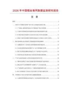2026年中國粗絲卷網(wǎng)數(shù)據(jù)監(jiān)測研究報告