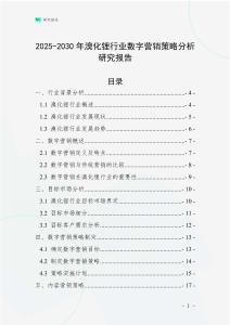 2025-2030年溴化鋰行業數字營銷策略分析研究報告