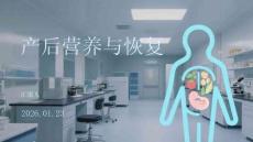 產后營養與恢復研究