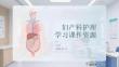 婦產科護理學習課件資源