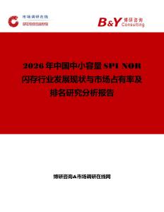 2026年中國中小容量SPI NOR閃存行業發展現狀與市場占有率及排名研究分析報告