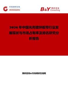 2026年中國光亮鍍鋅板帶行業發展現狀與市場占有率及排名研究分析報告