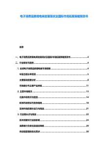 電子消費品跨境電商發展現狀及國際市場拓展策略預測書