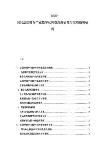 2025-2030法國時尚產業數字化轉型深度研究與發展趨勢研判