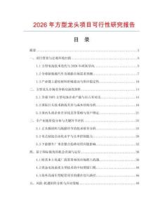 2026年方型龙头项目可行性研究报告