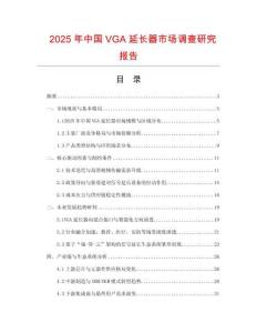 2025年中國VGA延長器市場調查研究報告