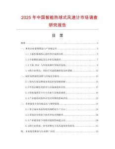 2025年中國智能熱球式風速計市場調查研究報告