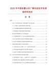 2025年中國前置分區(qū)廣播功放機市場調(diào)查研究報告