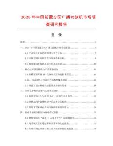 2025年中國前置分區廣播功放機市場調查研究報告