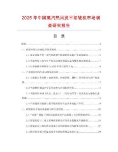 2025年中國蒸汽熱風燙平除皺機市場調查研究報告