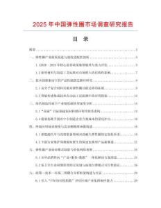 2025年中國彈性圈市場調查研究報告