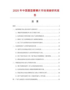 2025年中國扇型摩擦片市場調查研究報告