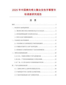 2025年中國橫向噴火舞臺變色字幕管市場調查研究報告