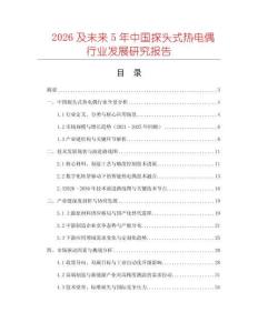 2026及未來5年中國探頭式熱電偶行業(yè)發(fā)展研究報告