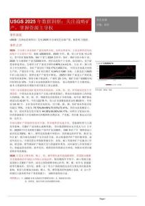 有色金屬USGS 2025年數(shù)據(jù)洞察：關注戰(zhàn)略礦產(chǎn)，掌握資源主導權(quán)