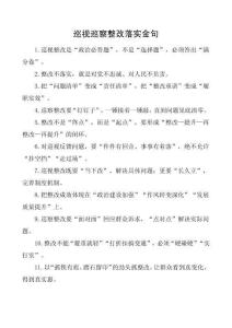 巡視巡察整改落實金句