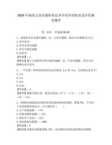 2026年湖南大眾傳媒職業技術學院單招職業適應性測試題庫參考答案詳解