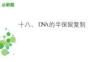 學考復(fù)習18 DNA的半保留復(fù)制