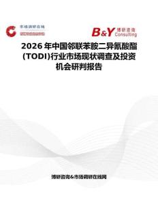 2026年中國鄰聯苯胺二異氰酸酯 (TODI)行業市場現狀調查及投資機會研判報告