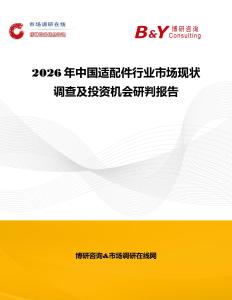 2026年中國適配件行業市場現狀調查及投資機會研判報告