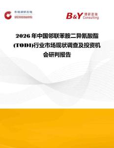2026年中國鄰聯苯胺二異氰酸酯 (TODI)行業市場現狀調查及投資機會研判報告
