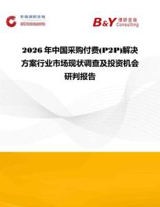 2026年中國采購付費(P2P)解決方案行業市場現狀調查及投資機會研判報告