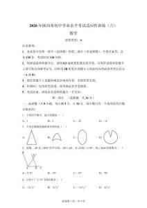 陕西榆林定边县多校2025-2026学年九年级下学期适应性训练数学试卷（六）【含答案】