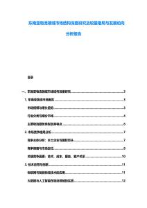 東南亞物流領域市場結構深度研究及較量格局與發展動向分析報告
