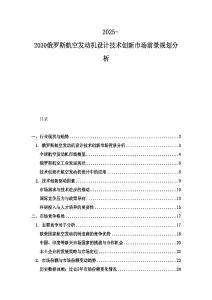2025-2030俄羅斯航空發(fā)動(dòng)機(jī)設(shè)計(jì)技術(shù)創(chuàng)新市場(chǎng)前景規(guī)劃分析