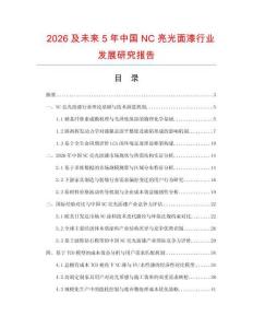 2026及未來5年中國NC亮光面漆行業發展研究報告